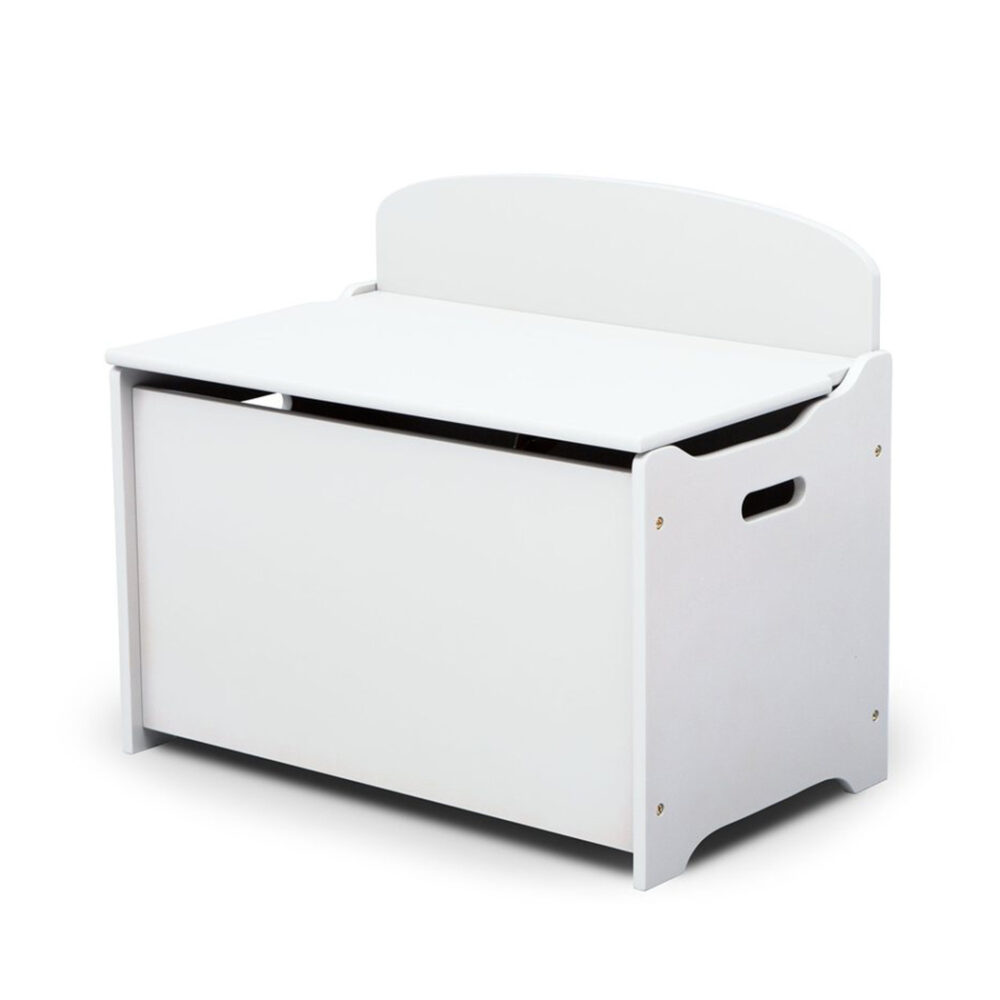 Deluxe Toy Box Kids